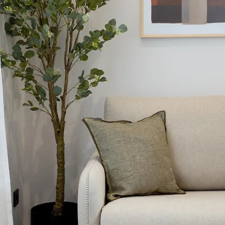 Meraki Apartment